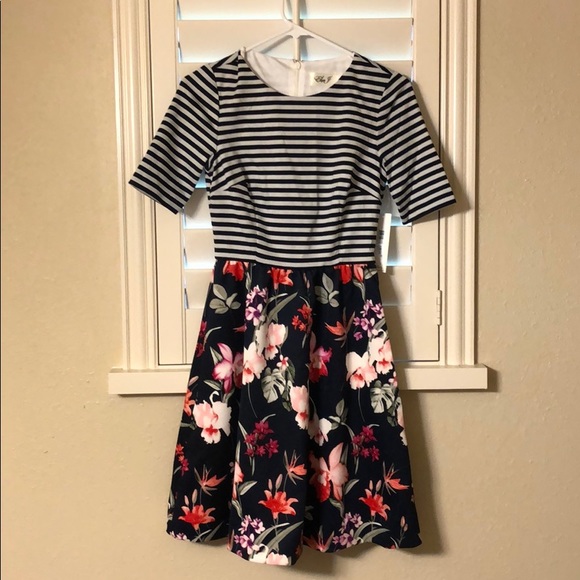 Eliza J Floral and Striped Fit and Flare Dress - Picture 3 of 4